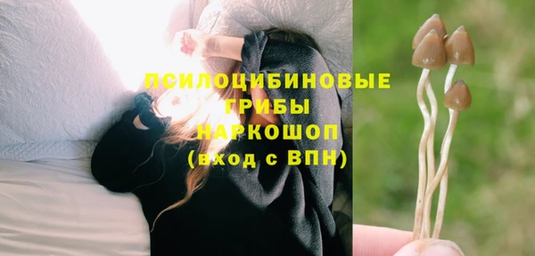 ПСИЛОЦИБИНОВЫЕ ГРИБЫ Абдулино