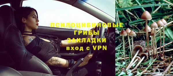 эйфоретик Михайловка