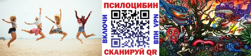 Псилоцибиновые грибы GOLDEN TEACHER  Ярославль 